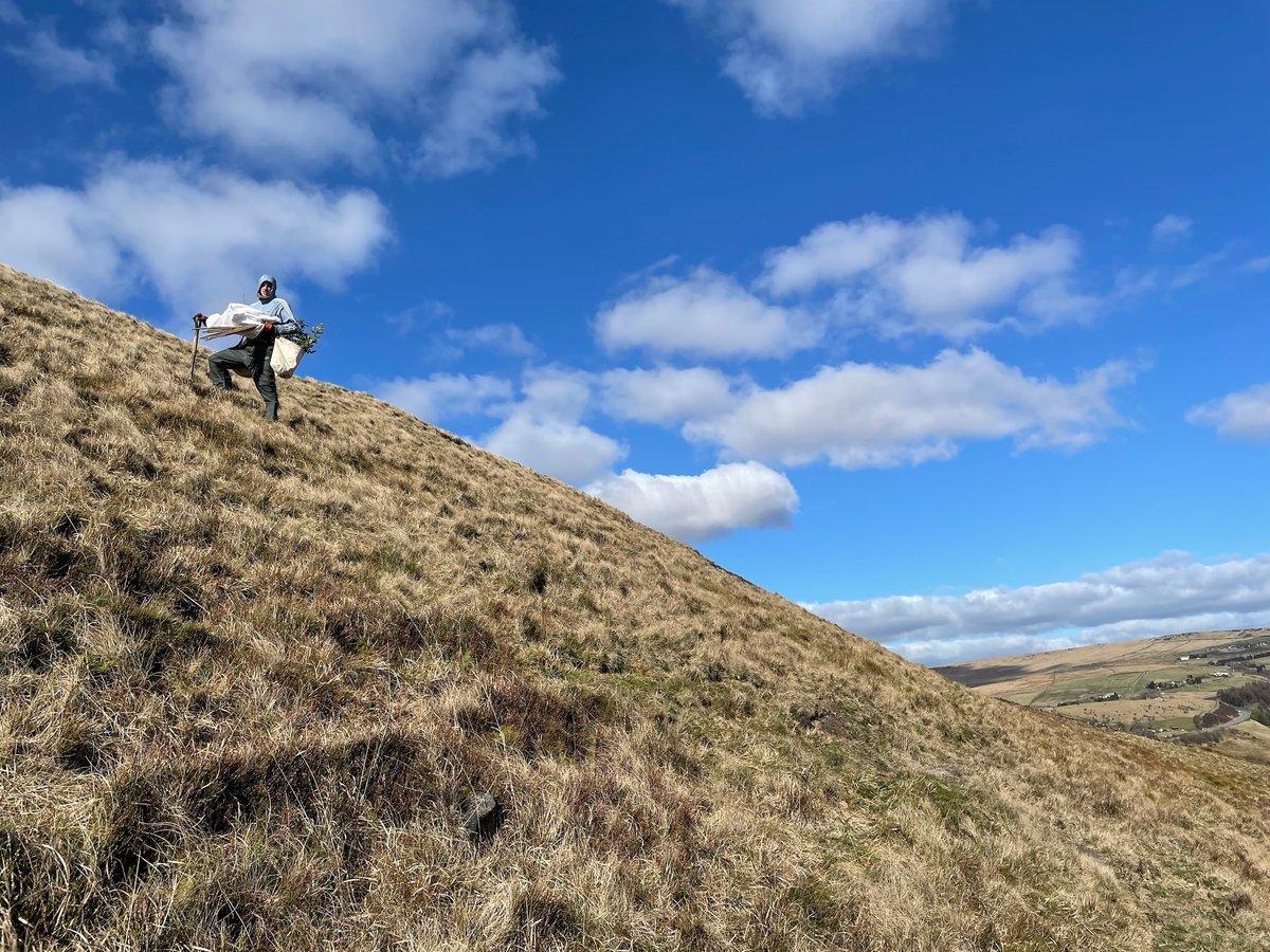 Saddleworth