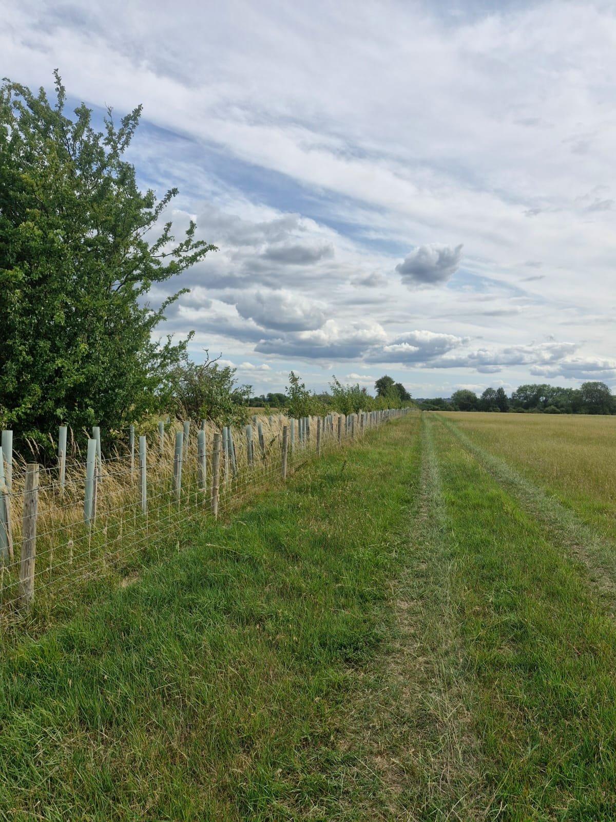 Weston Farm