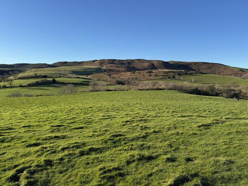 11,000 Saplings in North Wales