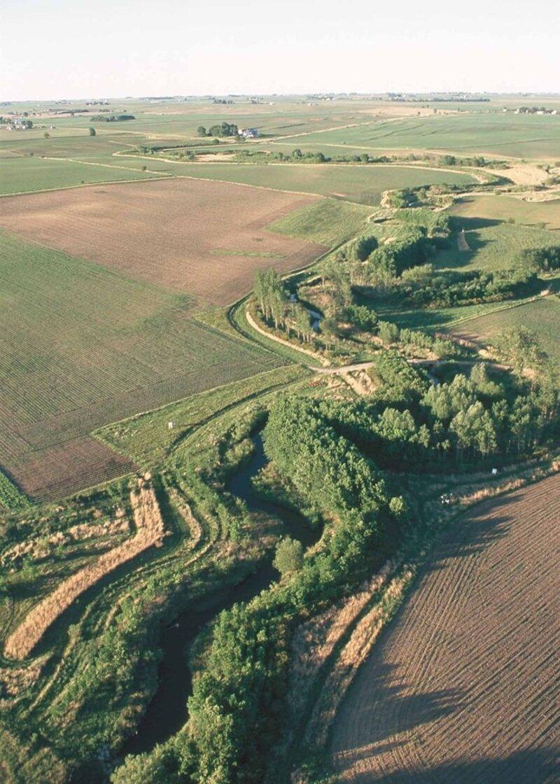 Agroforestry: Our Favourite Examples