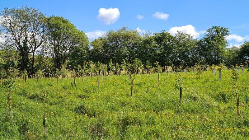 Biodiversity - what it is and why it's so important to achieve
