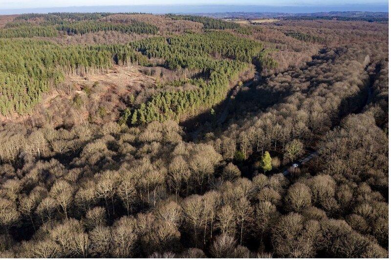 Counting the Cost: Funding the UK’s Environmental Future
