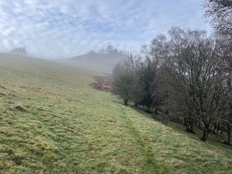 Goytre Wood, Powys proposal