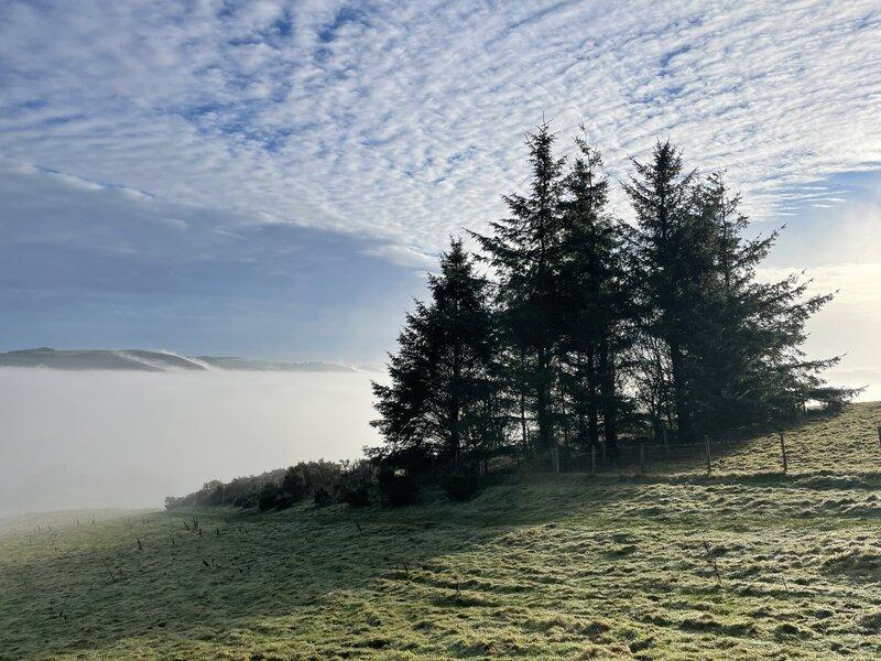 Coed Goetre: ein cymuned goedwig newydd yng Nghymru!