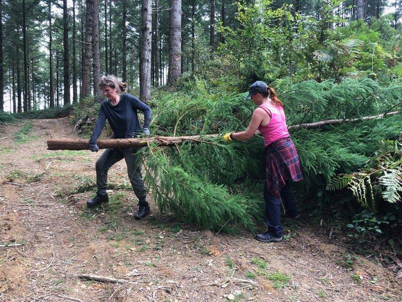High Wood, Liskeard – Woodland Restoration – Update Winter 2023