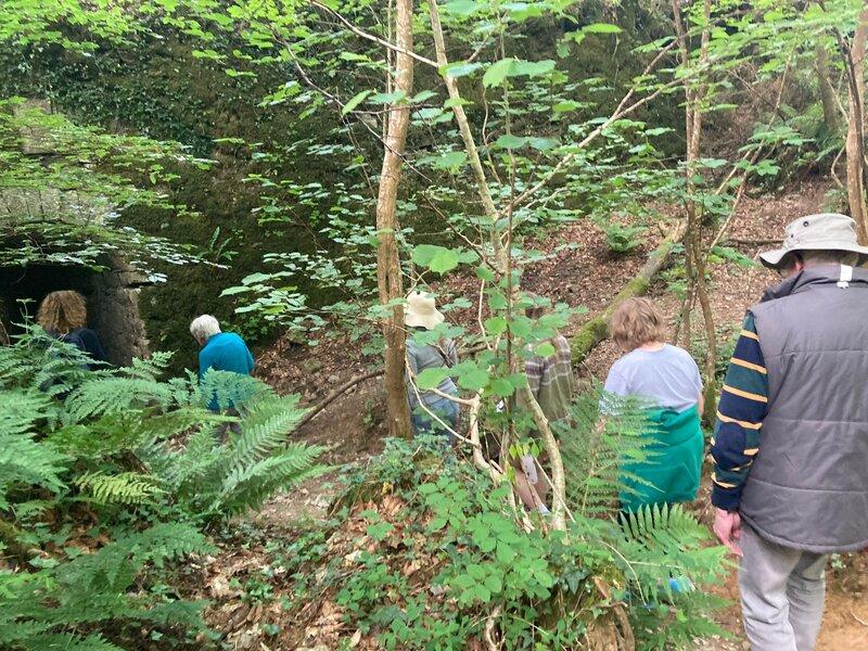Highlights from Protect Earth's Second Annual Open Day