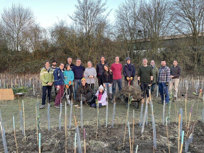 How Small Changes in Your Garden and Community Can Enhance Biodiversity