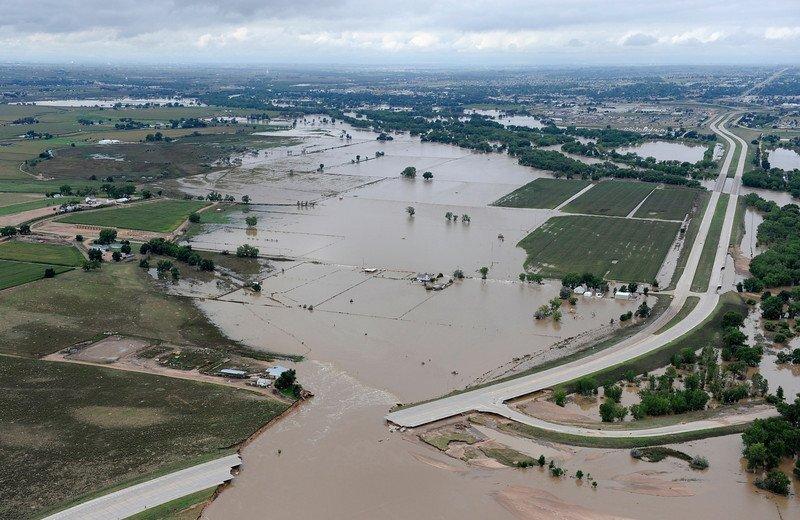 How trees reduce the risks caused by flooding