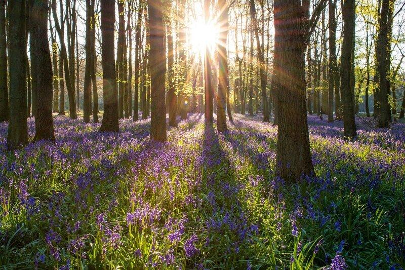 Labour’s Attack On Nature