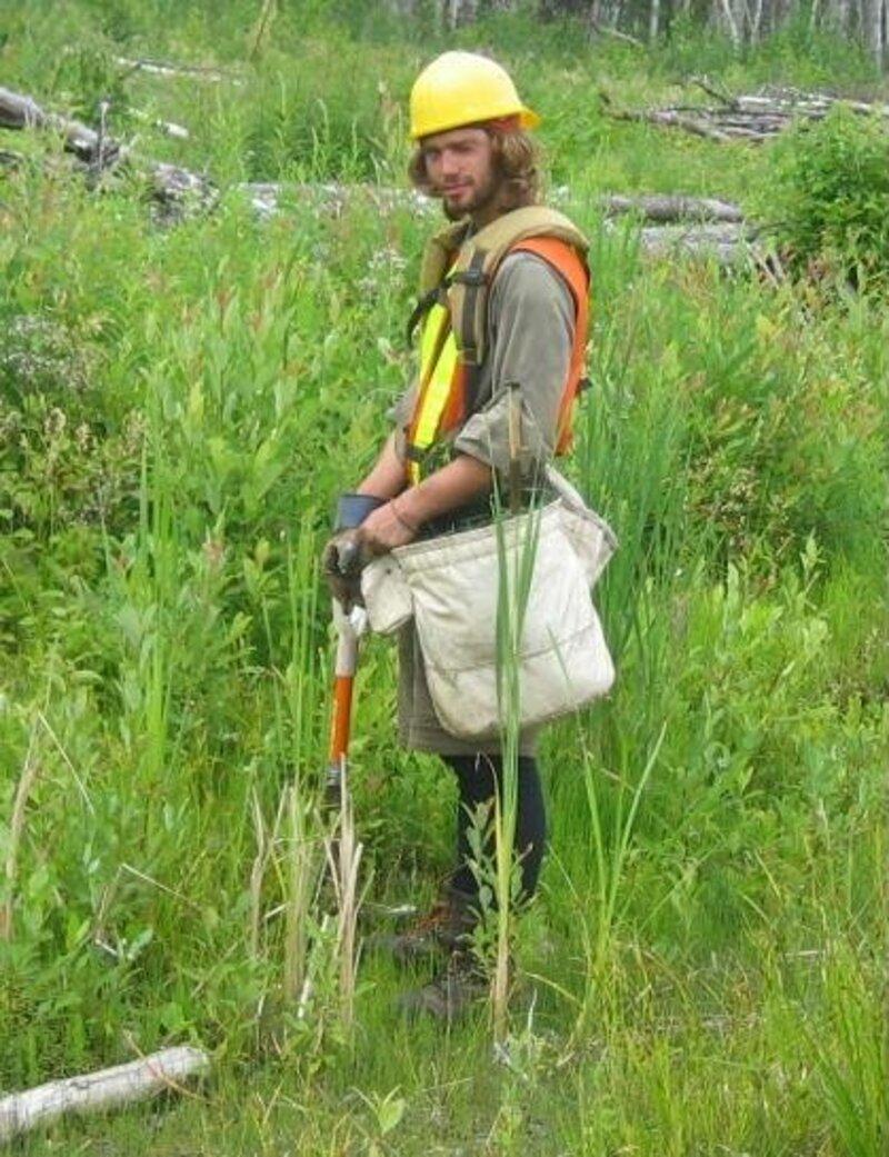 Misconceptions about tree planting