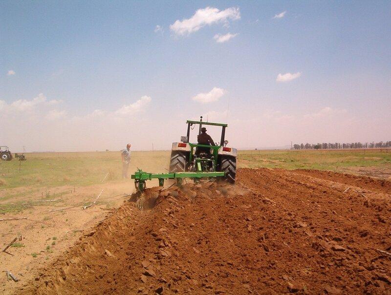 Ploughing Away Diversity: The Impact of Modern Agriculture on Ecosystems
