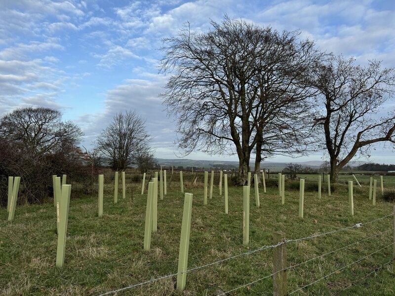 Protect Earth's first Scottish shelterbelt project takes off