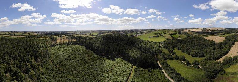 Protect Earth's work in 2022/23 at High Wood