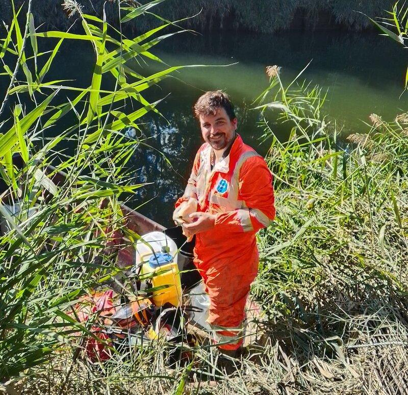 Protecting River Roding from Japanese Knotweed