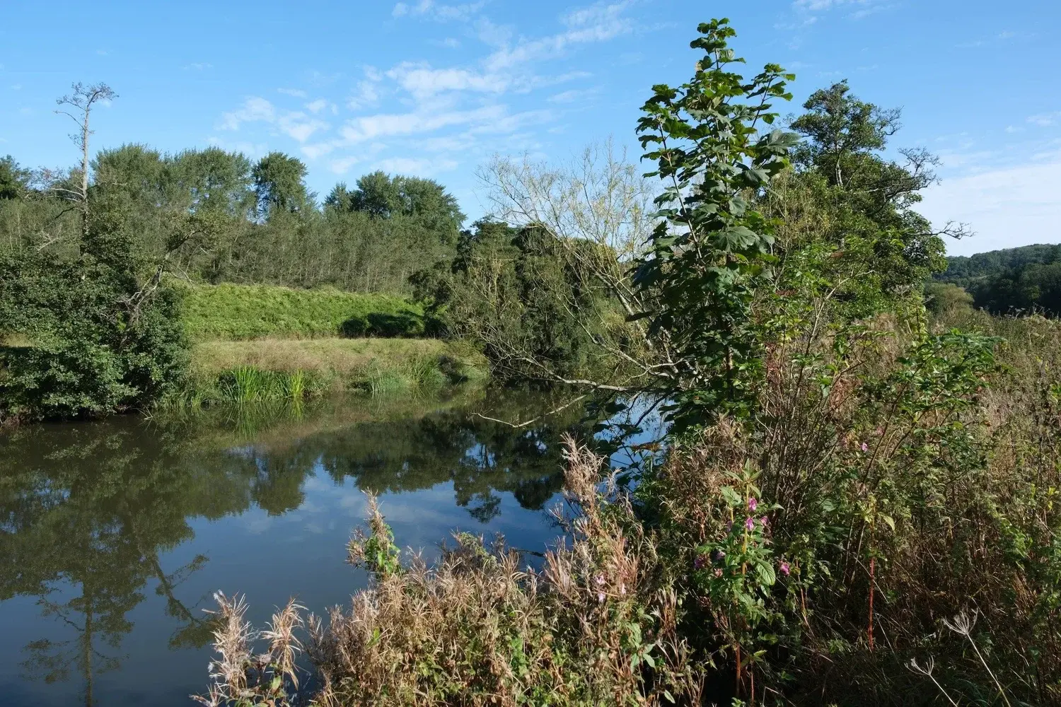 Warleigh Nature Reserve