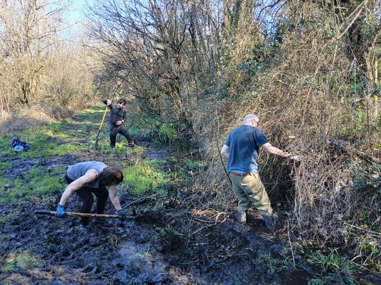 Warleigh Image 3